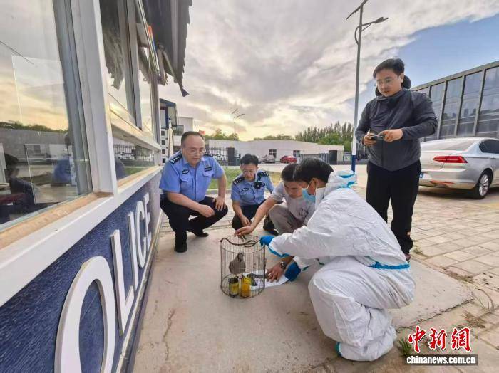 宁夏警方破获非法狩猎案 现场查获野生动物21只